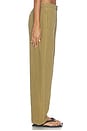 view 4 of 6 Vito Canvas Pant in Gold