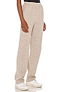 view 2 of 4 Rylie Track Pant in Oatmeal