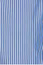 view 5 of 5 CAMISA CONNIE in Blue Stripe