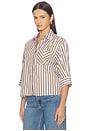 view 2 of 5 Lucia Shirt in Brown Stripe