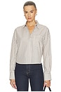 view 1 of 5 Marin Cropped Striped Shirt in Tan Stripe