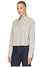 view 2 of 5 Marin Cropped Striped Shirt in Tan Stripe