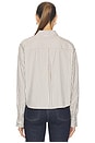 view 4 of 5 Marin Cropped Striped Shirt in Tan Stripe