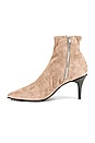 view 5 of 5 Beha Stretch Boot in Warm Grey