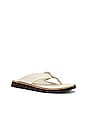 view 2 of 5 Parker Thong Sandal in Antique