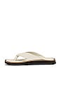 view 5 of 5 Parker Thong Sandal in Antique