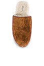 view 4 of 5 Mara Clog in Chestnut