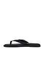 view 5 of 5 Gia Thong Sandal in Black