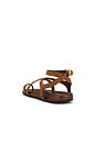 view 3 of 5 Rue Sandal in Umber Suede