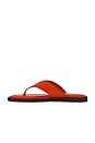 view 5 of 5 Gracie Thong Sandal in Red Satin
