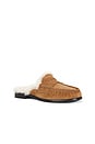 view 2 of 5 Carter Shearling Mule Loafer in Toffee Suede