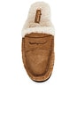 view 5 of 5 Carter Shearling Mule Loafer in Toffee Suede