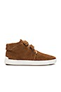 view 1 of 6 Kent Desert Shearling Sneaker in Camel Suede