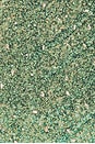 view 5 of 5 Kaito Gown in Green Ombre