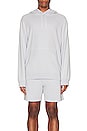 view 3 of 4 Lightweight Terry Classic Hoodie in Ice Blue