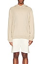 view 3 of 3 Lightweight Terry Classic Hoodie in Dune
