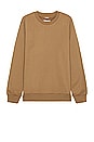 view 1 of 3 Midweight Terry Classic Crewneck in Clay