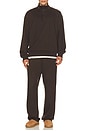 view 4 of 4 Midweight Terry Standard Button Mockneck in Coffee