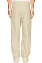 view 3 of 6 Cotton Canvas Grounds Standard Pant in Sand
