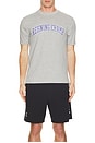 view 3 of 3 Midweight Jersey Collegiate T-Shirt in Heather Grey