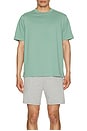 view 3 of 3 Midweight Jersey Standard T-shirt in Sage