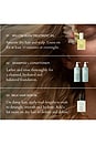 view 10 of 11 RŌZ Hair Healthy Hair And Scalp Kit in 