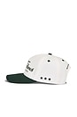 view 3 of 3 Ranch Hat in Green & White Combo