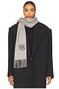 view 1 of 3 Scarf in Grey & Black