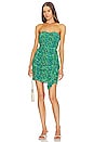 view 1 of 4 Ebba Dress in Ivy Flora Mini