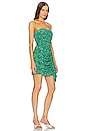 view 2 of 4 Ebba Dress in Ivy Flora Mini