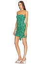 view 3 of 4 Ebba Dress in Ivy Flora Mini