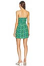 view 4 of 4 Ebba Dress in Ivy Flora Mini