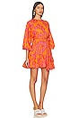 view 2 of 3 Ella Dress in Coral Reef Grande