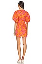 view 3 of 3 Pia Dress in Coral Reef Grande