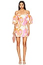 view 1 of 3 Dali Dress in Pink Deco Surf