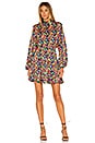 view 1 of 4 Caroline Dress in Micro Confetti