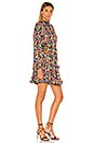 view 2 of 4 Caroline Dress in Micro Confetti