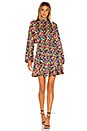 view 4 of 4 Caroline Dress in Micro Confetti