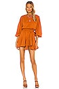 view 1 of 4 Ella Dress in Cinnamon
