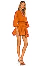 view 2 of 4 Ella Dress in Cinnamon