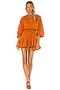 view 4 of 4 Ella Dress in Cinnamon
