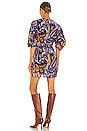 view 3 of 4 Pia Dress in Retro Paisley Ice