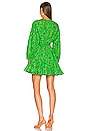 view 3 of 3 Ella Dress in Romance Green