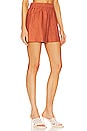 view 2 of 4 Kina Short in Clove
