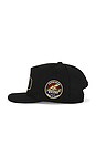 view 3 of 3 Racing Crest Hat in Black & Navy
