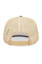 view 2 of 2 Diamond Trucker Hat in Tan & White