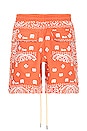 view 2 of 4 Bandana Shorts in Vintage Orange