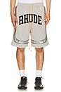 view 1 of 5 Baggy Mesh Collegiate Logo Shorts in Grey & Silver
