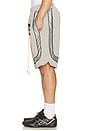view 2 of 5 Baggy Mesh Collegiate Logo Shorts in Grey & Silver