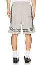 view 3 of 5 Baggy Mesh Collegiate Logo Shorts in Grey & Silver